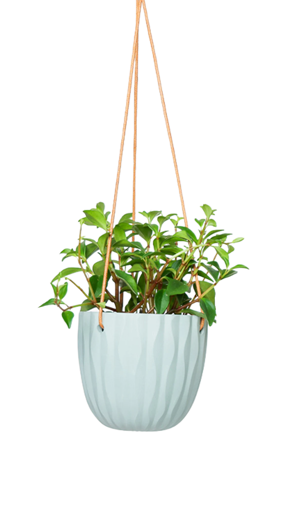 Chive Virago G peacock green ceramic hanging planter styled with a plant.