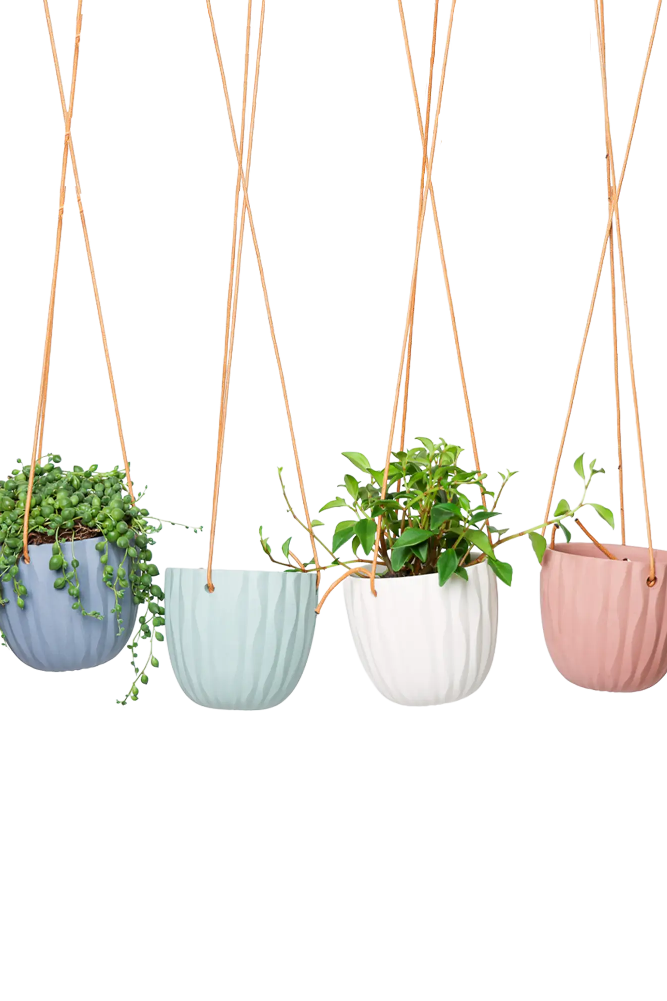 Chive Virago G ceramic hanging planters in blue grey, clay terracotta, peacock green, and white styled with plants.