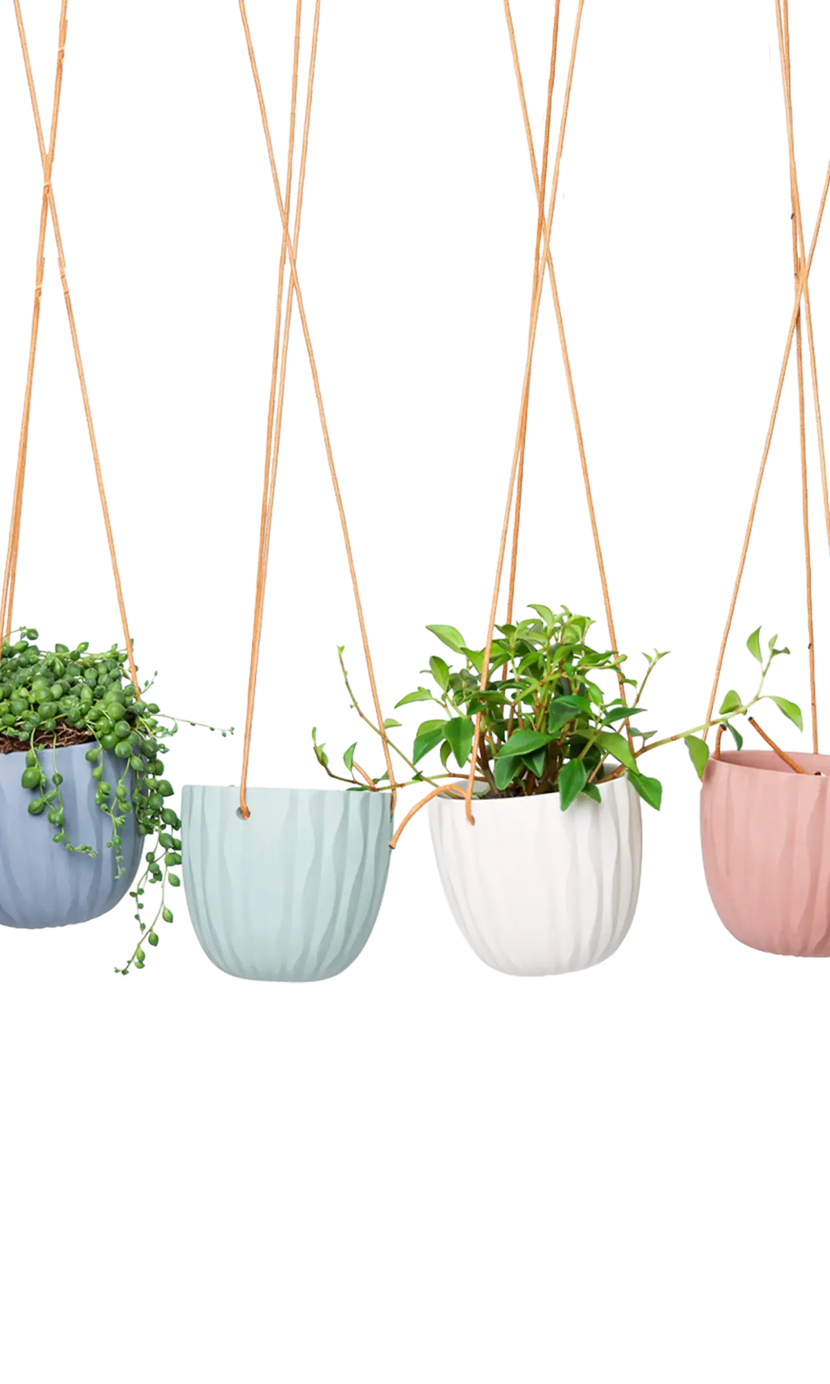 Chive Virago G ceramic hanging planters in blue grey, clay terracotta, peacock green, and white styled with plants.