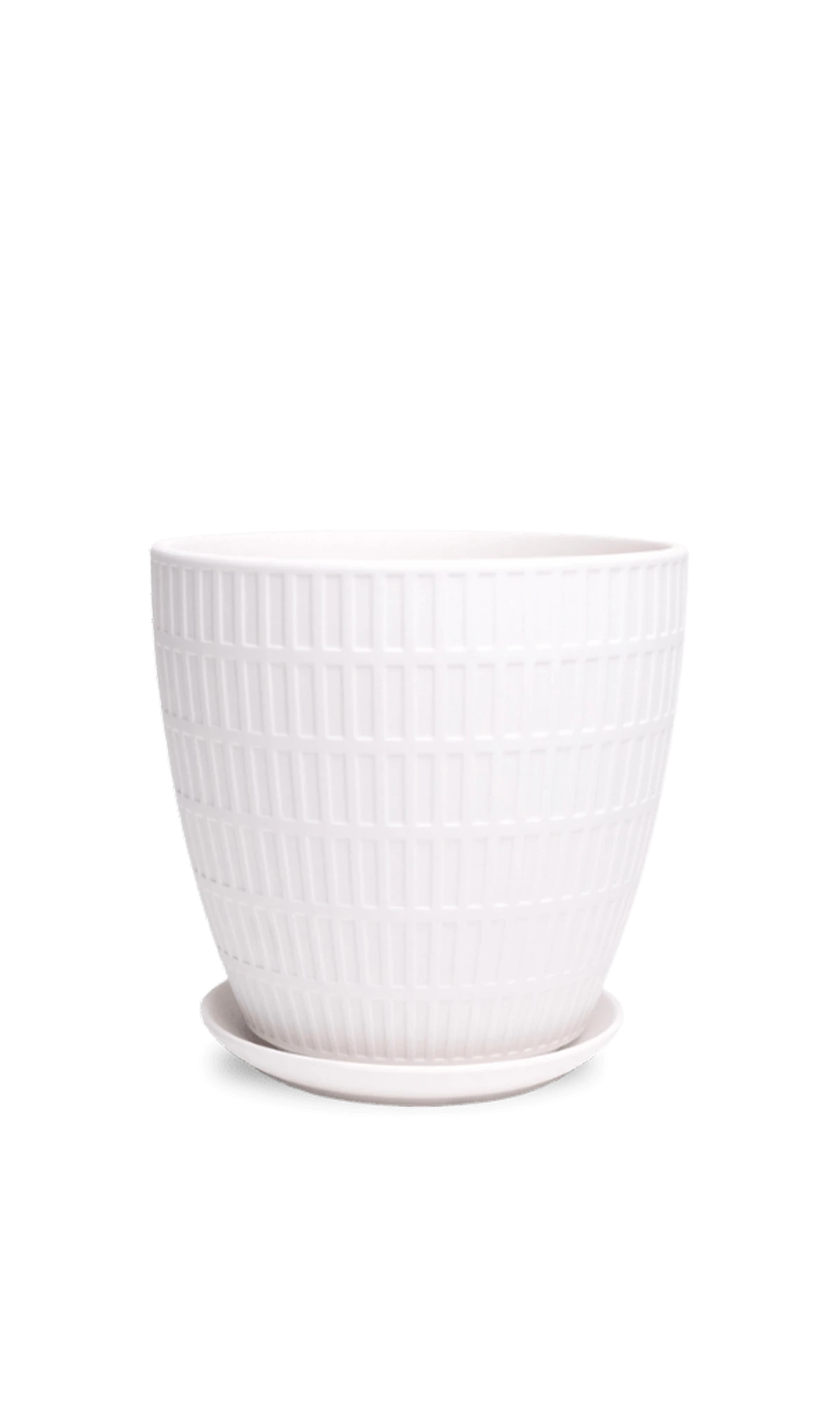 Chive Virago I large white textured porcelain pot with drainage hole and detachable saucer.