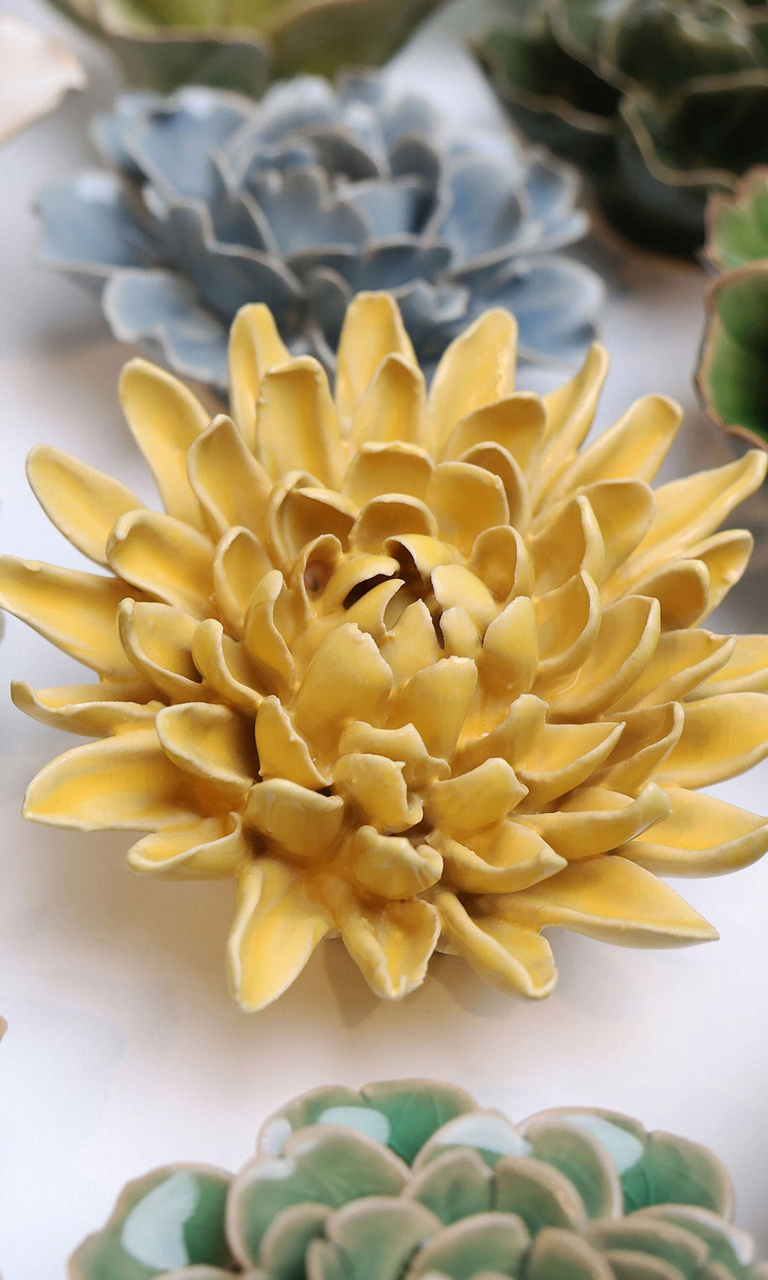 Buttercup Yellow Chrysanthemum ceramic wall flower mounted on a wall — Chive Ceramics Studio