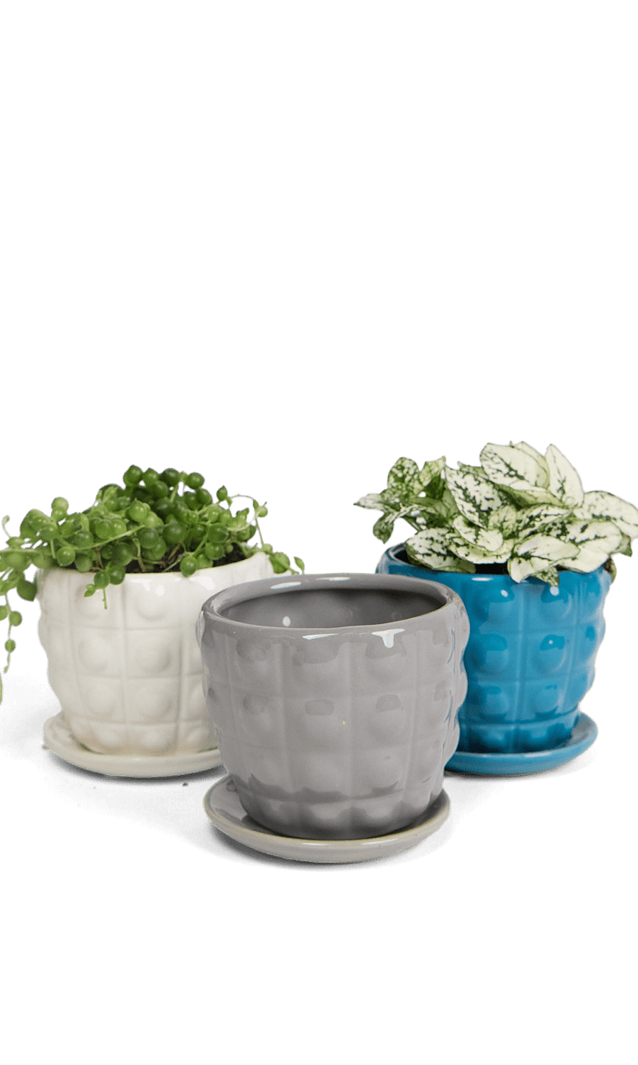 Convex Ceramic Pot With Drainage Hole And Saucer - Chive Ceramics Studio - Pots - Chive US