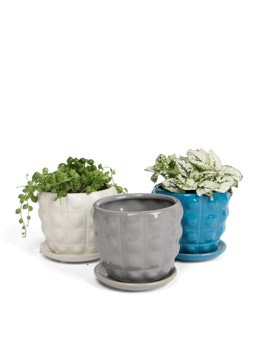 Convex Ceramic Pot With Drainage Hole And Saucer - Chive Ceramics Studio - Pots - Chive US