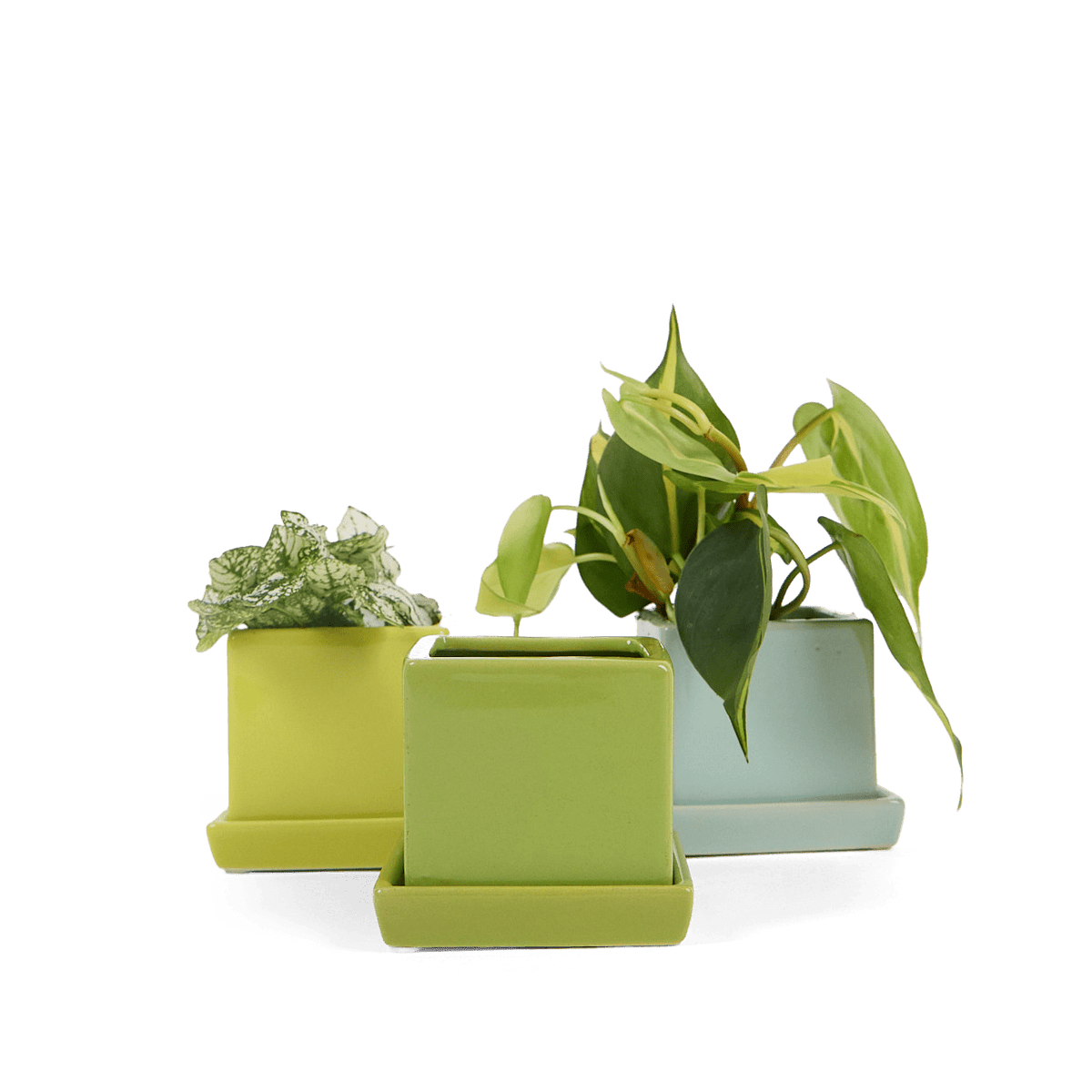 cube_5893ebdf-e152-4dcc-9eb6-