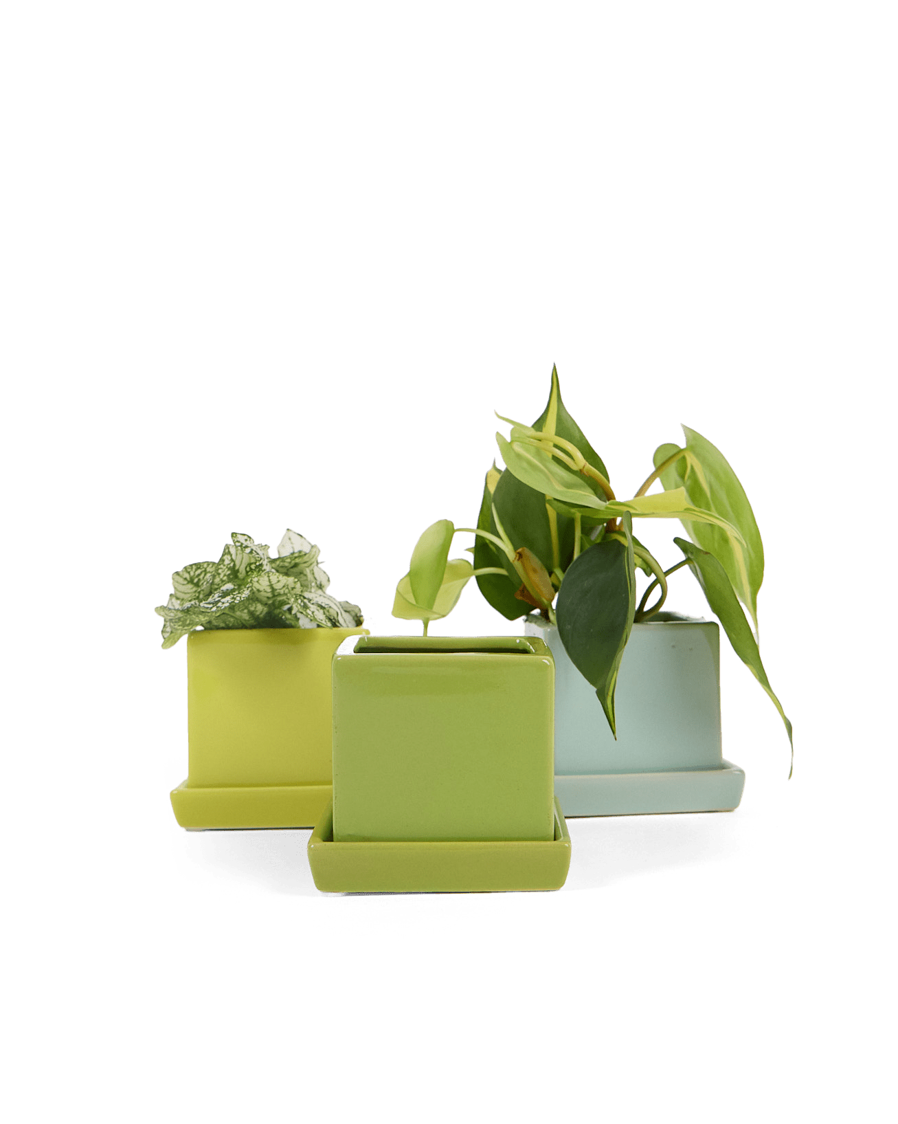 Cube & Saucer Ceramic Pot With Drainage Hole - Chive Ceramics Studio - Pots - Chive Ceramics Studio