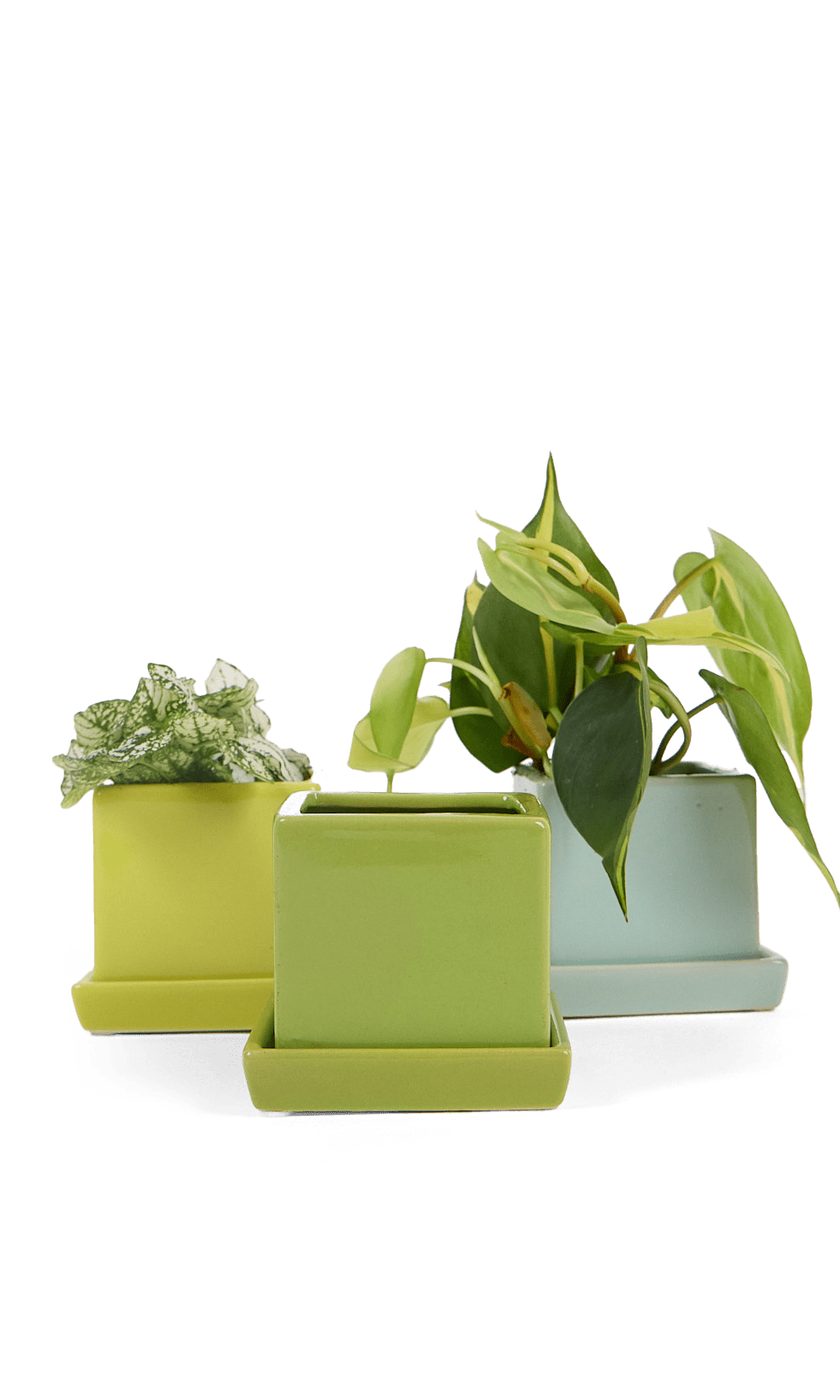 Cube & Saucer Ceramic Pot With Drainage Hole - Chive Ceramics Studio - Pots - Chive Ceramics Studio