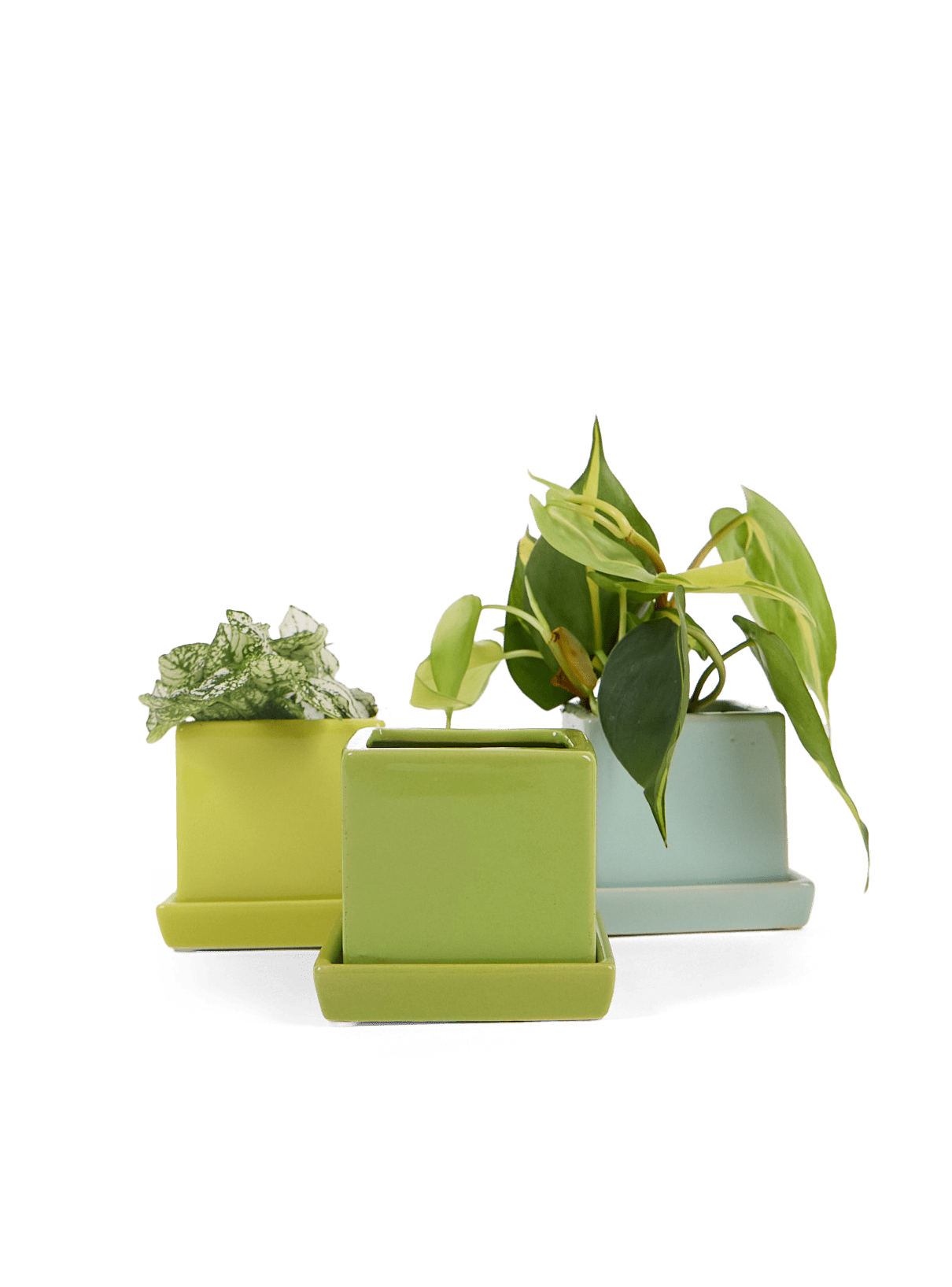 Cube & Saucer Ceramic Pot With Drainage Hole - Chive Ceramics Studio - Pots - Chive Ceramics Studio