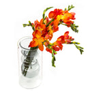 Modern Smoke Cylinder Glass Flower Vase