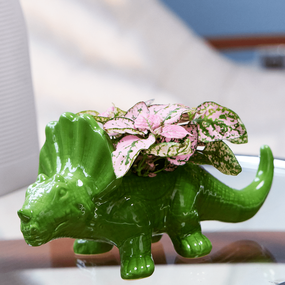Dinosaur Ceramic Indoor Plant Pot For Succulents - Chive Ceramics Studio - Pots - Chive US