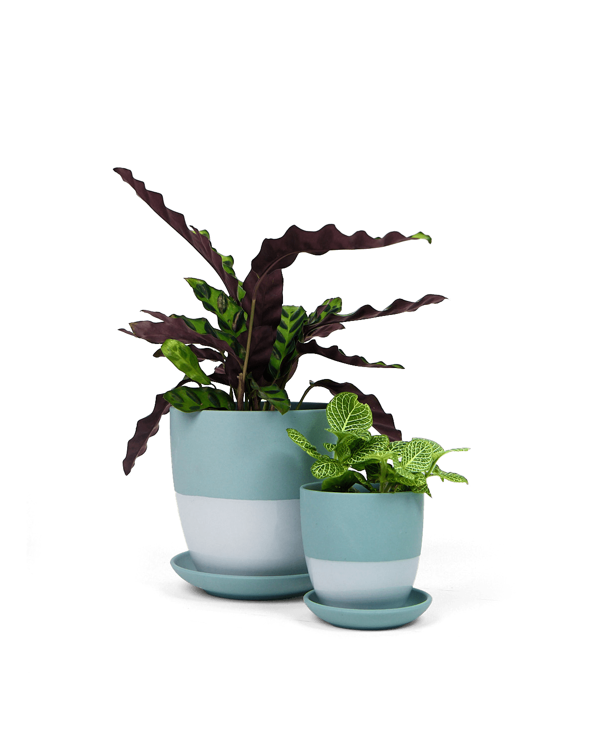Dyad Porcelain Modern Indoor Plant Pot With Saucer - Chive Ceramics Studio - Pots - Chive US
