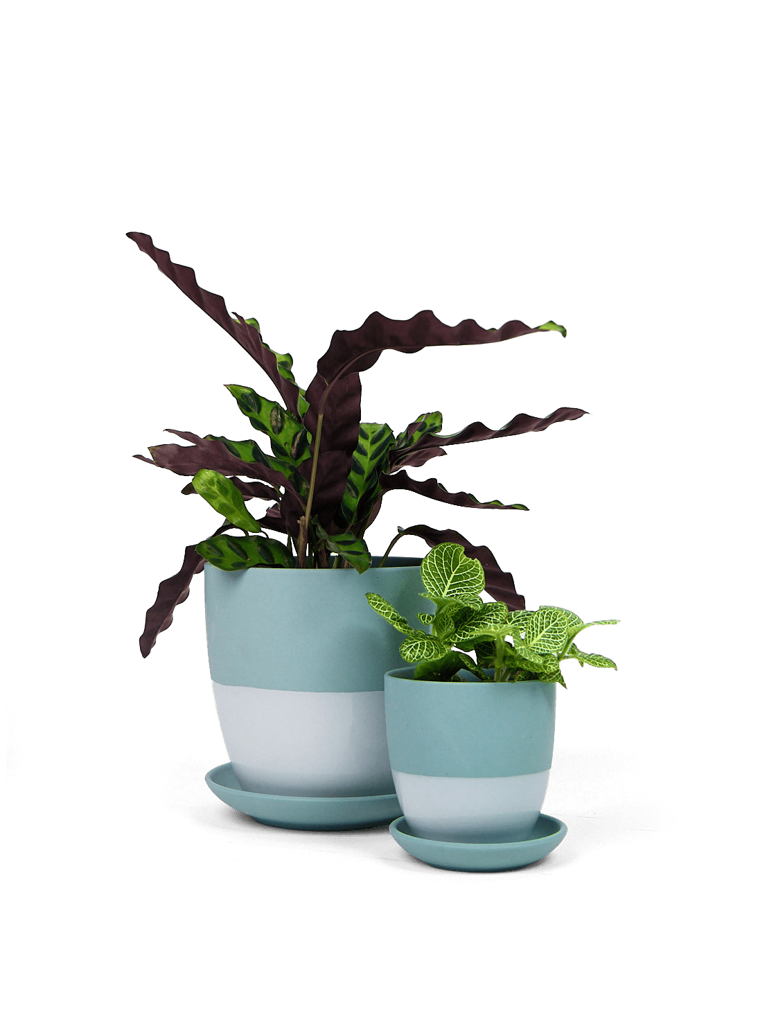 Dyad Porcelain Modern Indoor Plant Pot With Saucer - Chive Ceramics Studio - Pots - Chive US