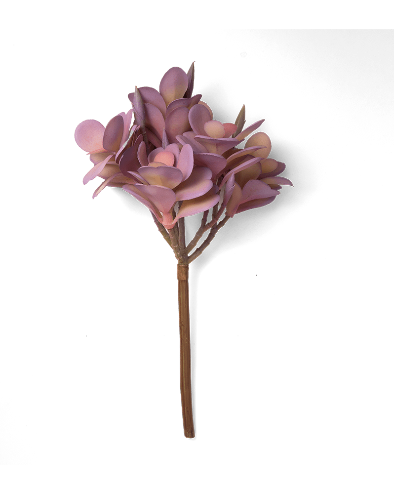 Premium Artificial Succulents - Lifelike Botanical Decor - Chive Ceramics Studio - Chive US Wholesale