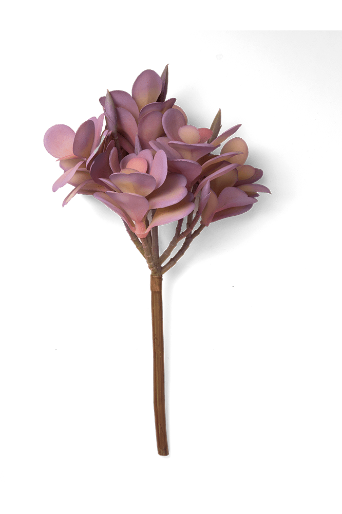 Premium Artificial Succulents - Lifelike Botanical Decor - Chive Ceramics Studio - Chive US Wholesale