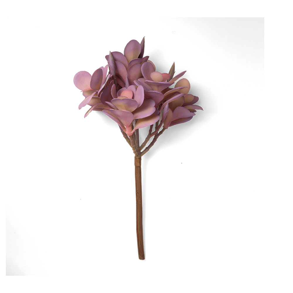 Premium Artificial Succulents - Lifelike Botanical Decor - Chive Ceramics Studio - Chive US Wholesale