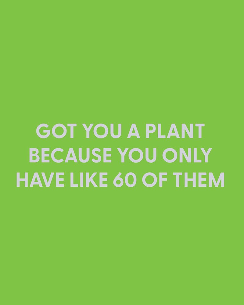 Got you a plant because you only have like 60 of them - Greeting Card - Chive Ceramics Studio - Cards - Chive Ceramics Studio