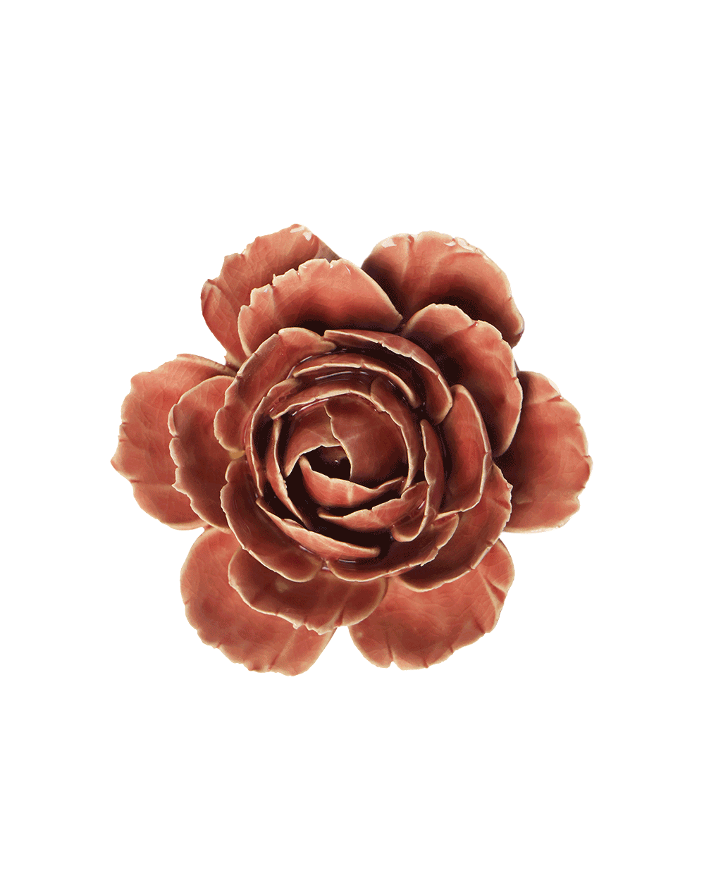 A single dried flower head with layered petals in warm reddish-brown tones, centered on a plain white background.