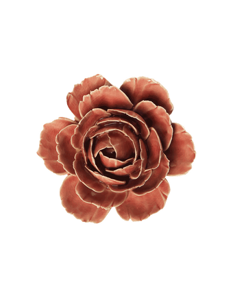 A single dried flower head with layered petals in warm reddish-brown tones, centered on a plain white background.