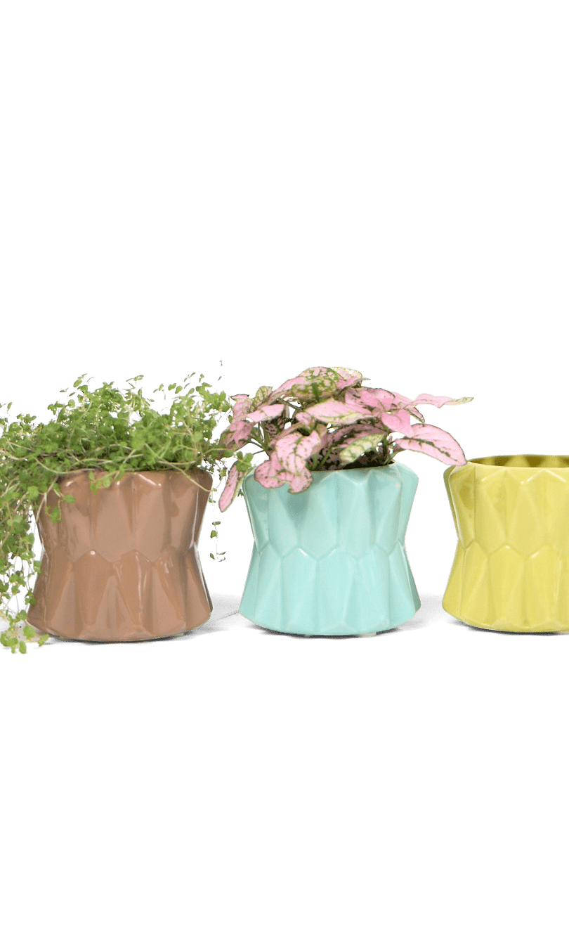 Fang Ceramic Modern Planter For Succulents - Chive Ceramics Studio - Pots - Chive Ceramics Studio