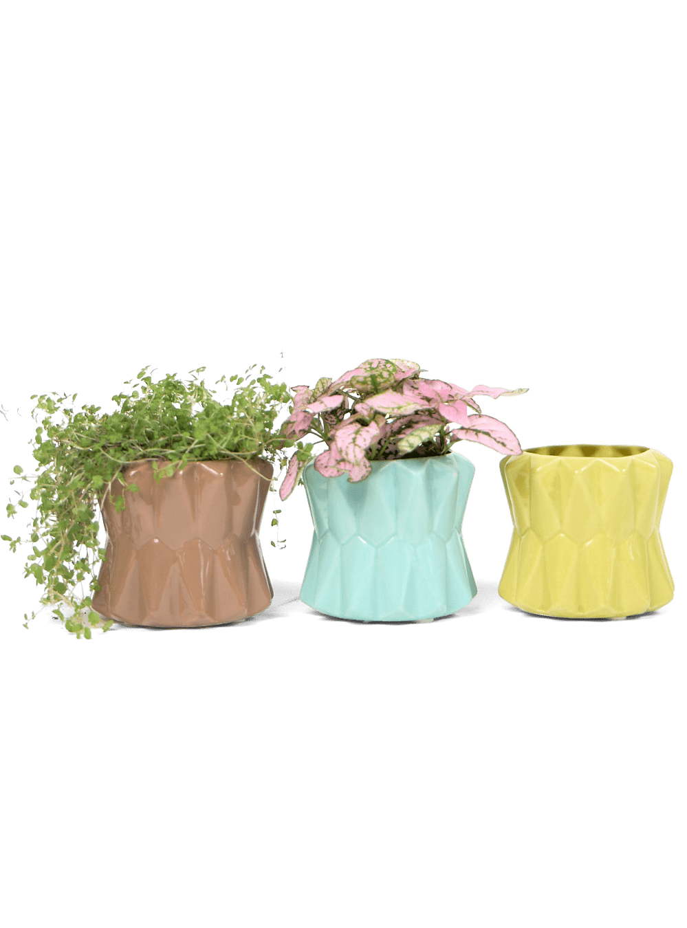 Fang Ceramic Modern Planter For Succulents - Chive Ceramics Studio - Pots - Chive Ceramics Studio