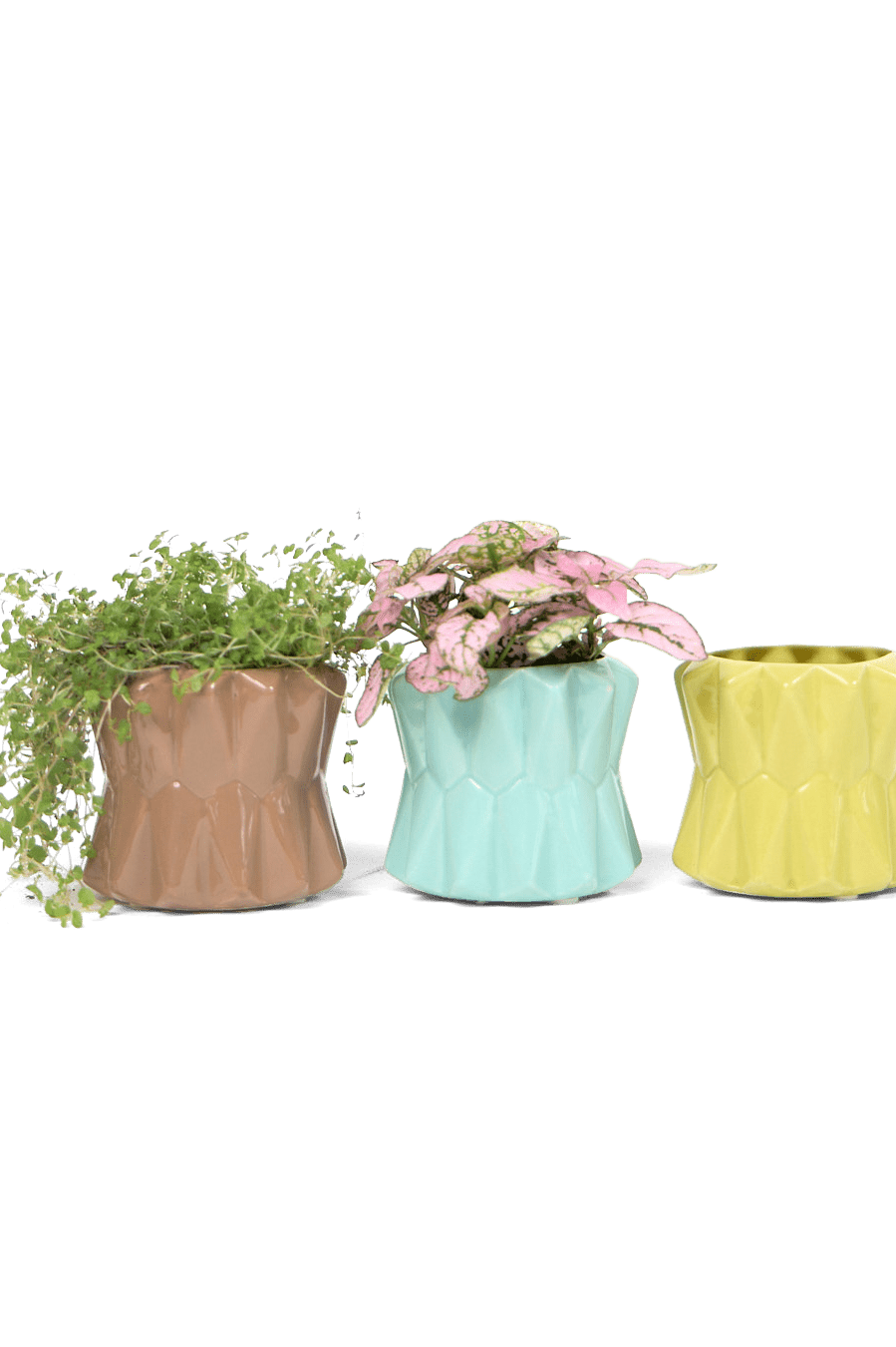 Fang Ceramic Modern Planter For Succulents - Chive Ceramics Studio - Pots - Chive Ceramics Studio