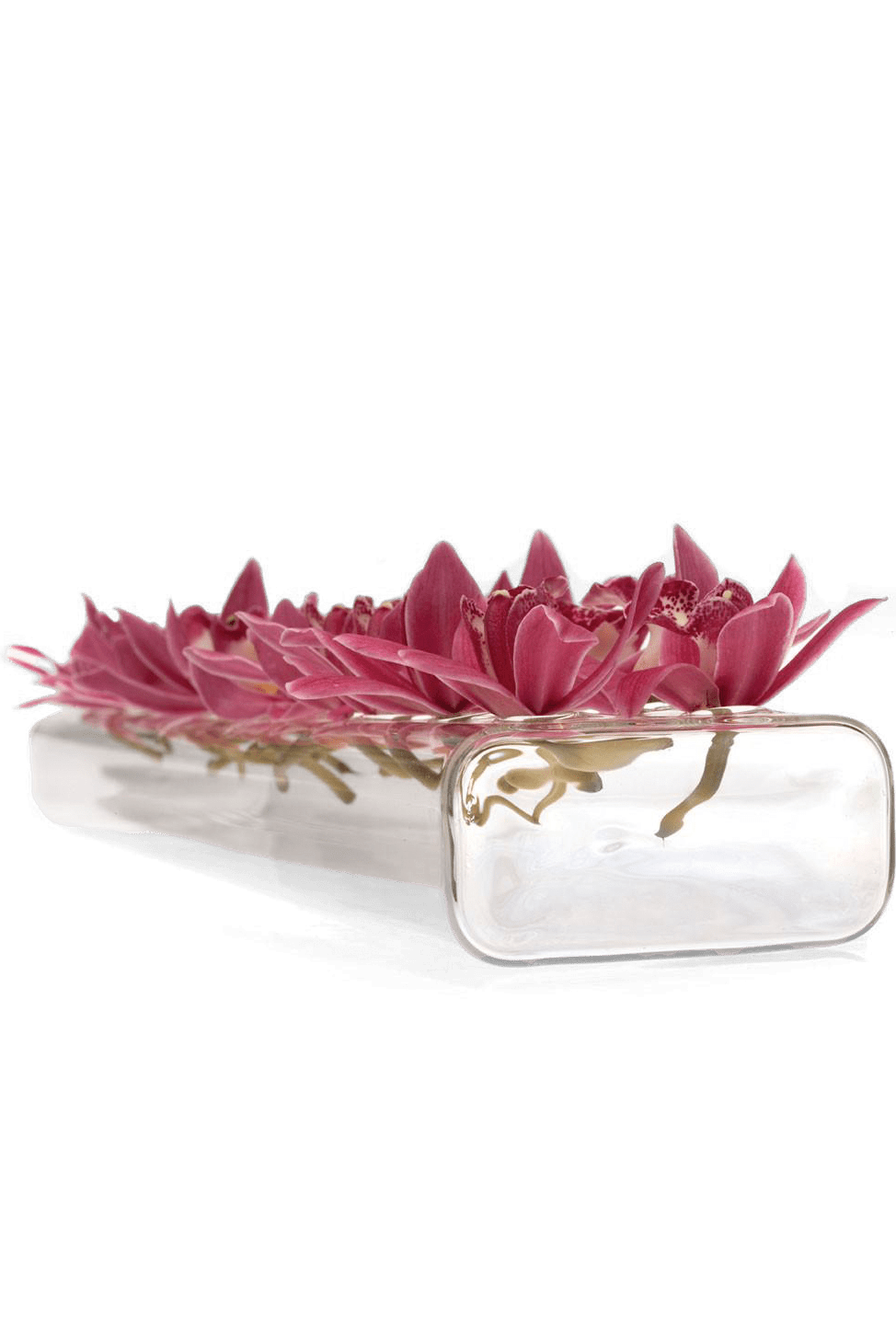 Rectangle Flute Glass Modern Clear Flower Vase - Chive Ceramics Studio - Vases - Chive Ceramics Studio