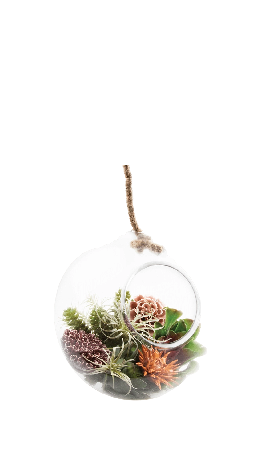 Clear Glass Large Hanging Terrarium - Bolsk - handmade by Chive Studio Toronto
