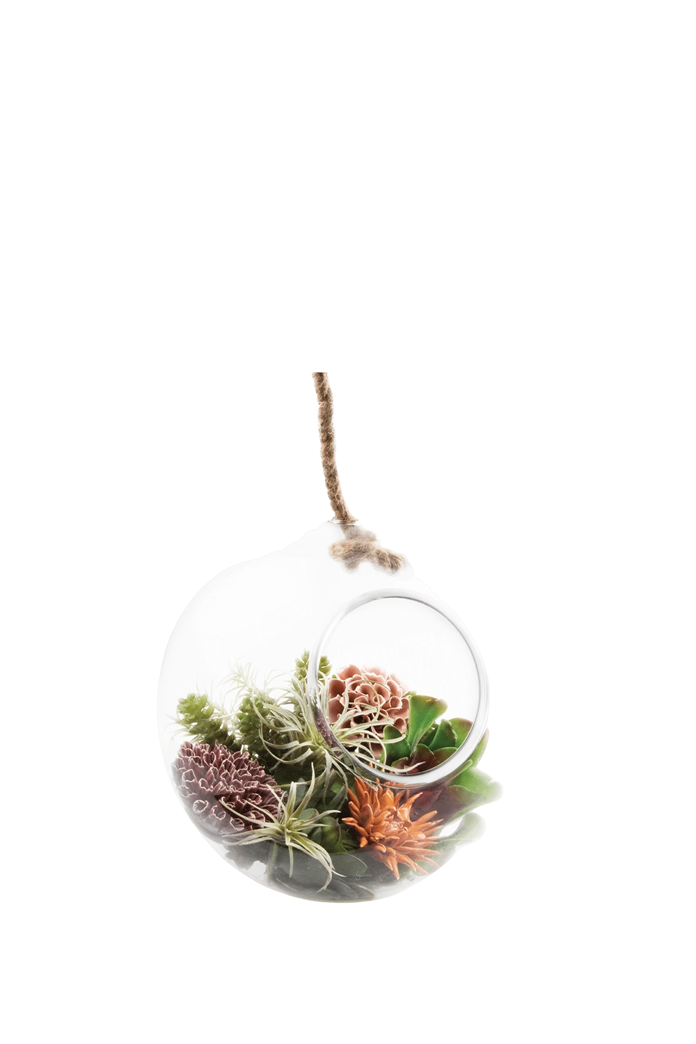 Clear Glass Large Hanging Terrarium - Bolsk - handmade by Chive Studio Toronto