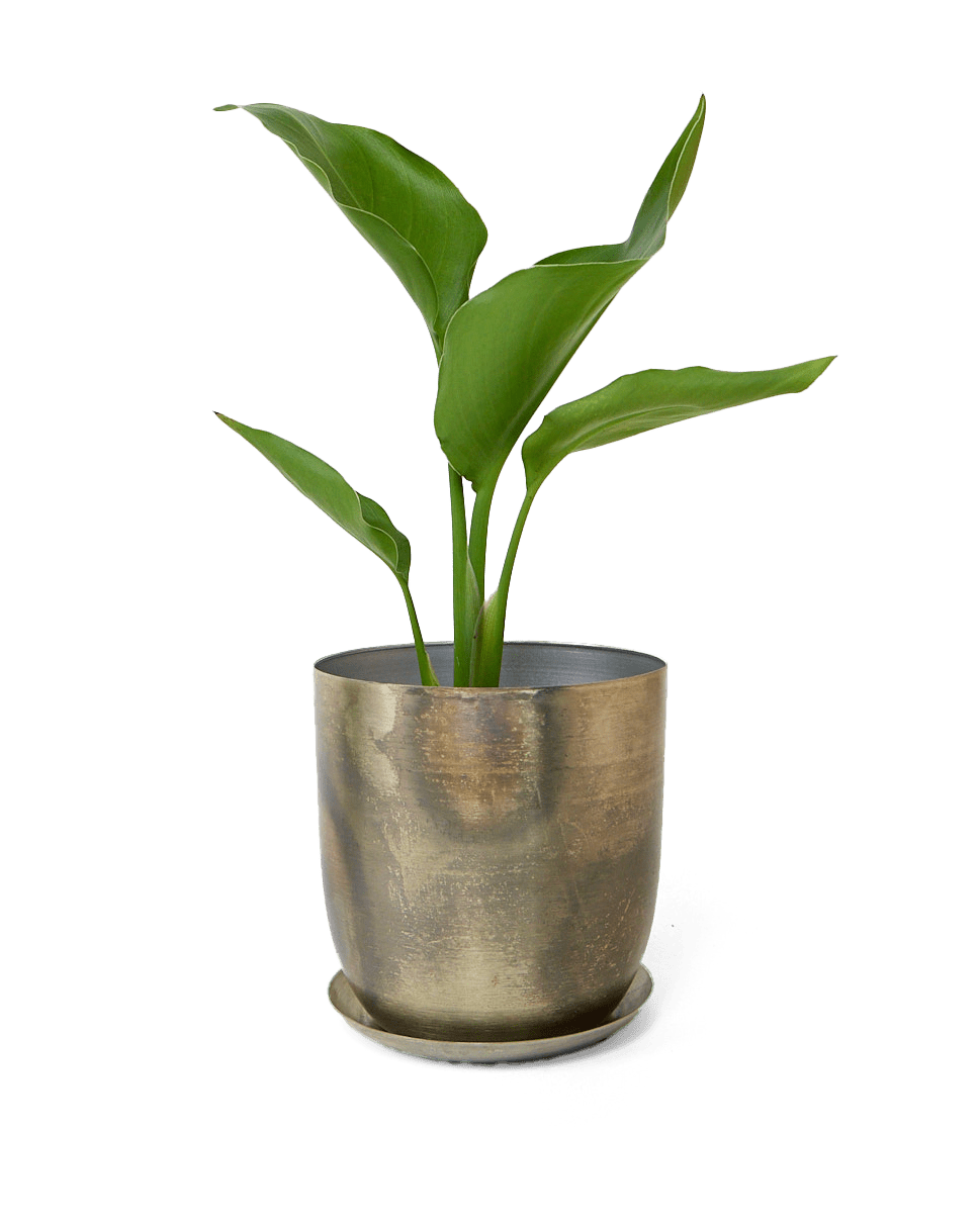 Joe Metal Pot With Drainage Hole - Chive Ceramics Studio - Pots - Chive US