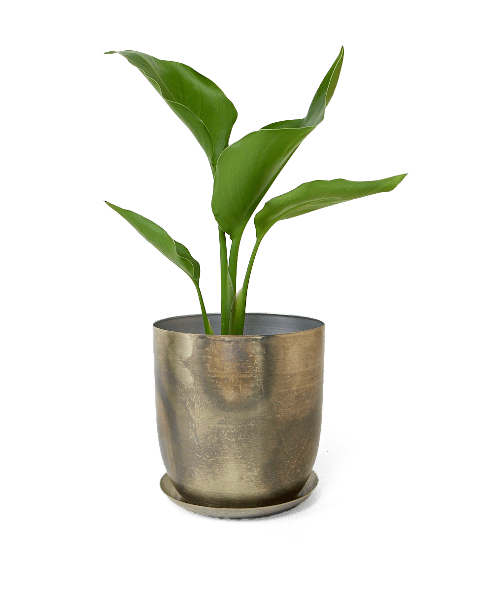 Joe Metal Pot With Drainage Hole - Chive Ceramics Studio - Pots - Chive US