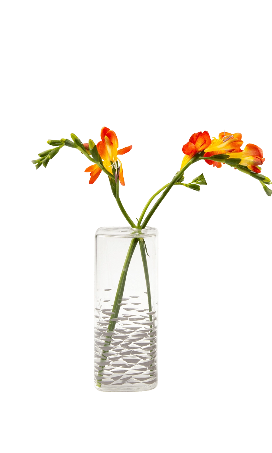 Clear Glass Modern Flower Vase - Decal - handmade by Chive Studio Toronto