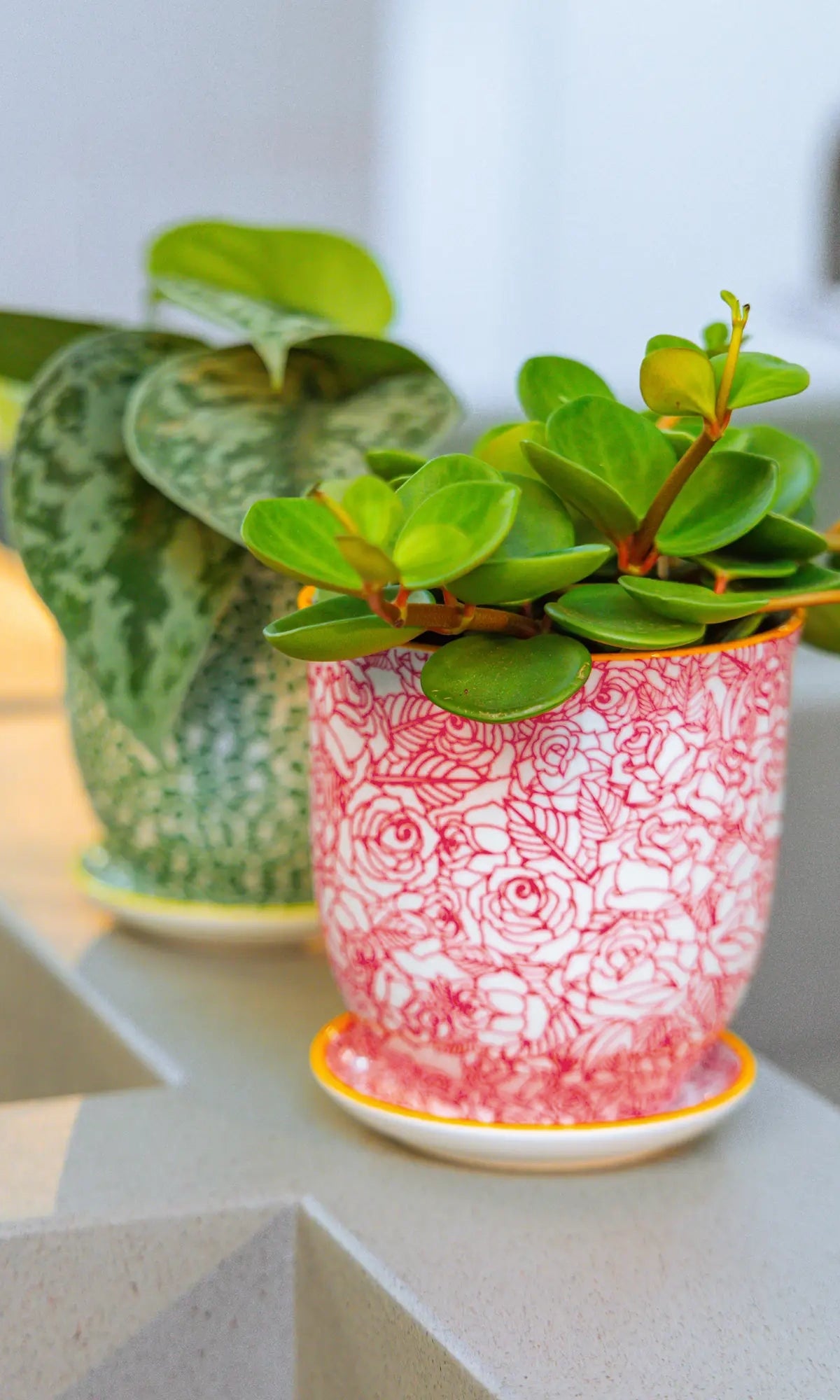 Chive Liberté planters in red roses and green leaves patterns, styled with a jade plant and peperomia on a kitchen counter.