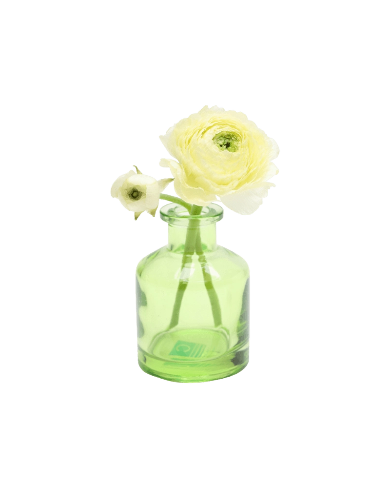 Chive Loft apothecary glass bud vase in green styled with an ivory ranunculus bloom and bud.