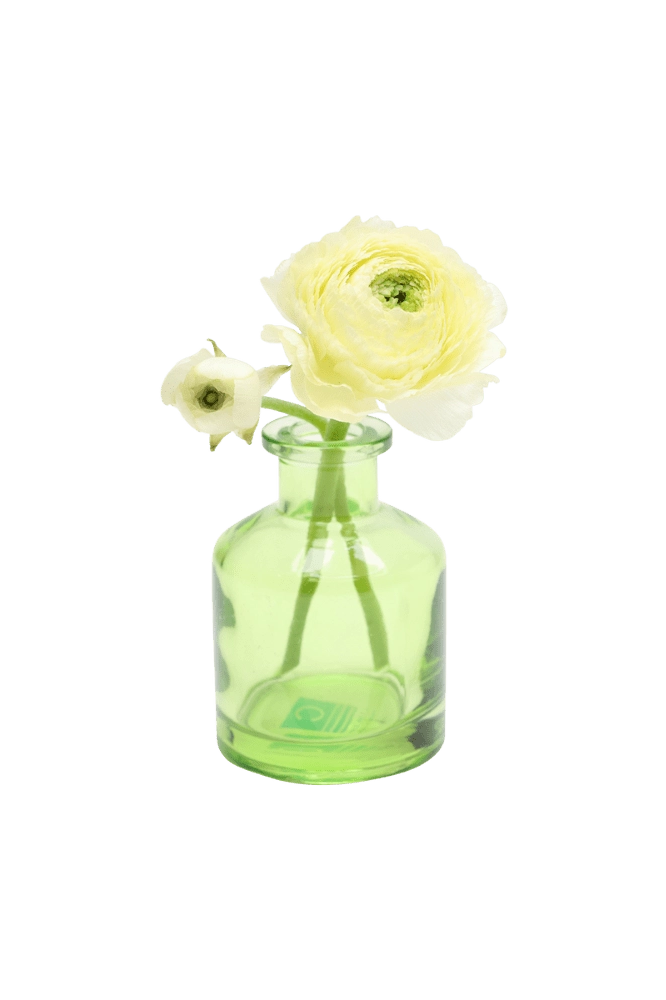 Chive Loft apothecary glass bud vase in green styled with an ivory ranunculus bloom and bud.
