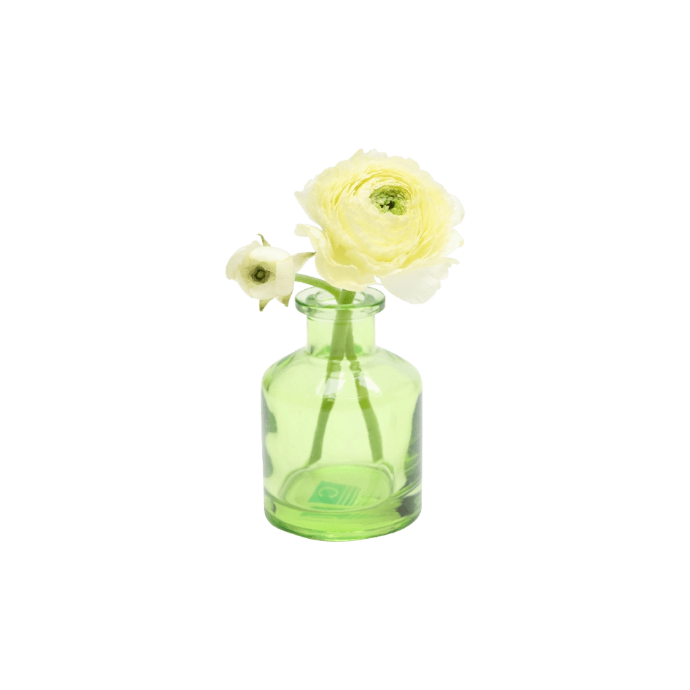 Chive Loft apothecary glass bud vase in green styled with an ivory ranunculus bloom and bud.