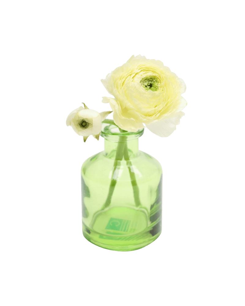 Chive Loft apothecary glass bud vase in green, shown from a side angle with an ivory ranunculus.