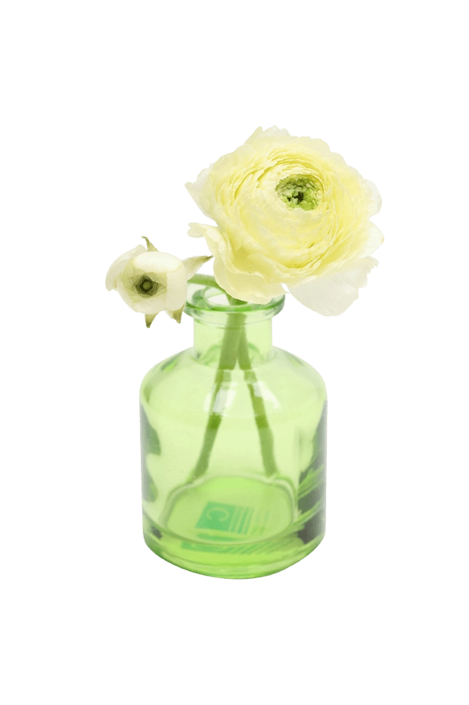 Chive Loft apothecary glass bud vase in green, shown from a side angle with an ivory ranunculus.
