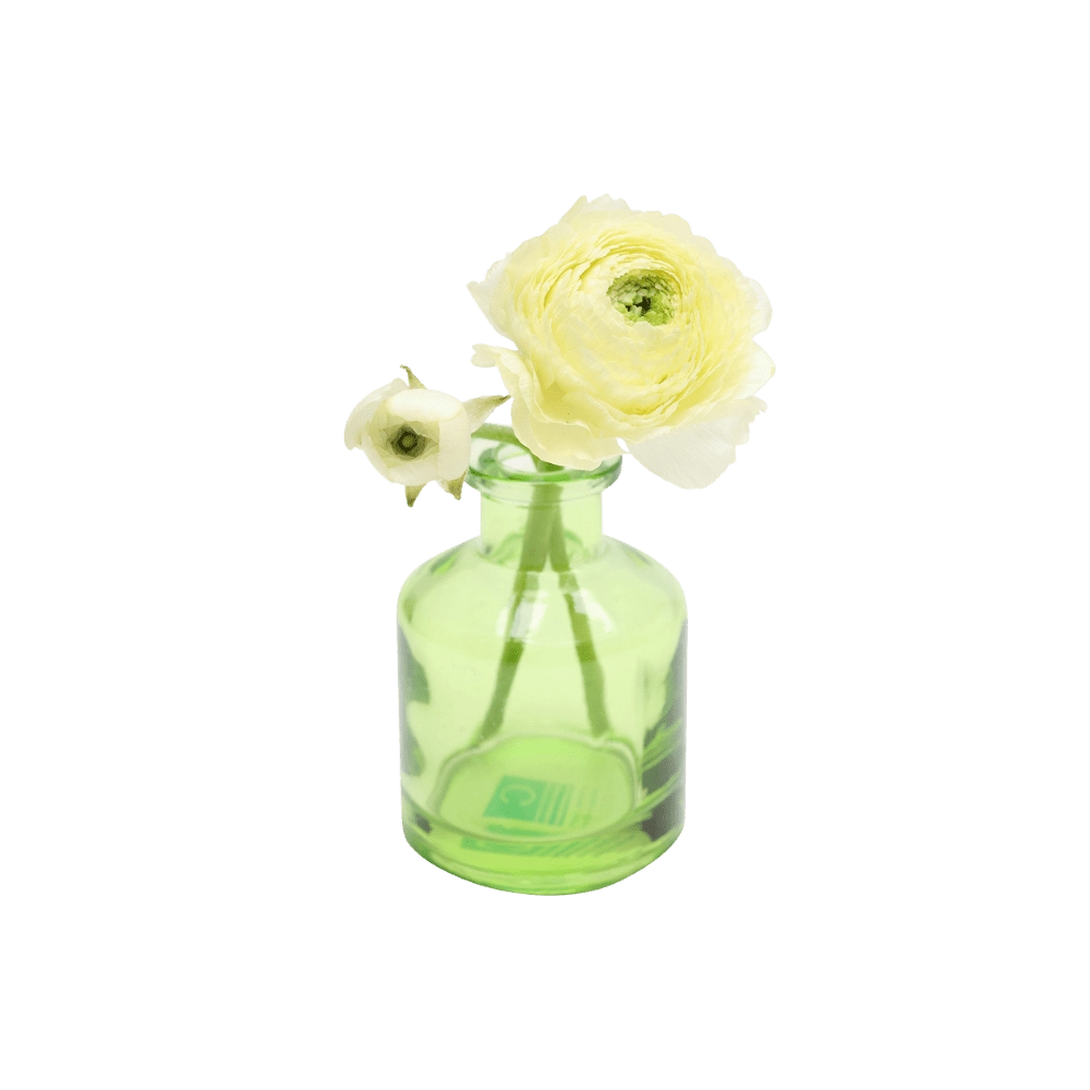 Chive Loft apothecary glass bud vase in green, shown from a side angle with an ivory ranunculus.