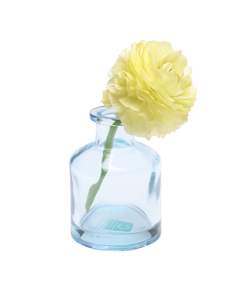 Chive Loft apothecary glass bud vase in light blue styled with a pale yellow ranunculus bloom.