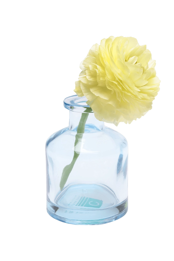 Chive Loft apothecary glass bud vase in light blue styled with a pale yellow ranunculus bloom.