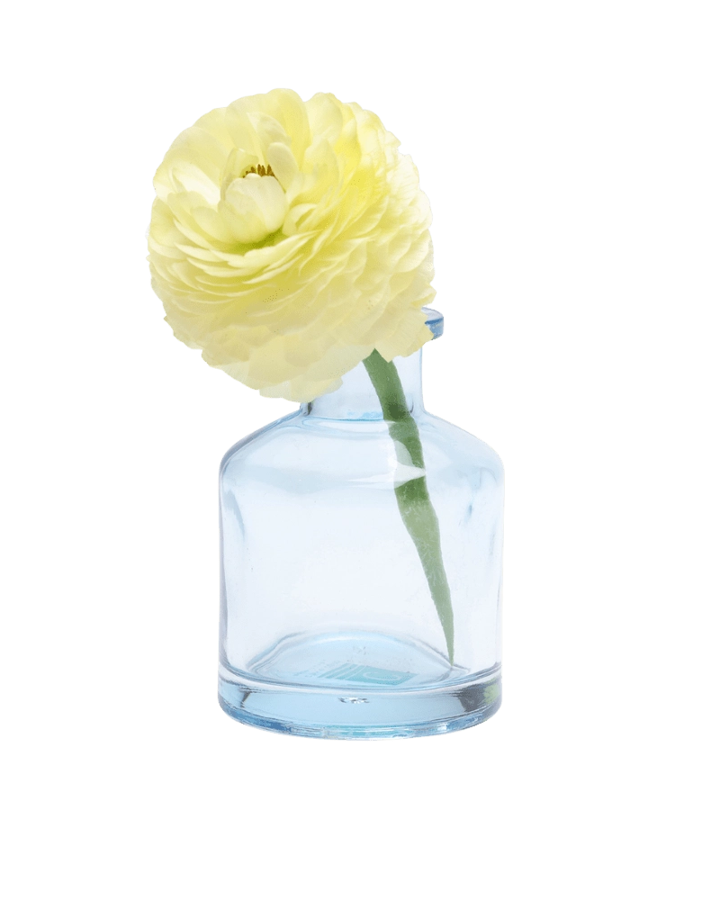 Chive Loft apothecary glass bud vase in light blue, shown from a side angle with a yellow ranunculus.