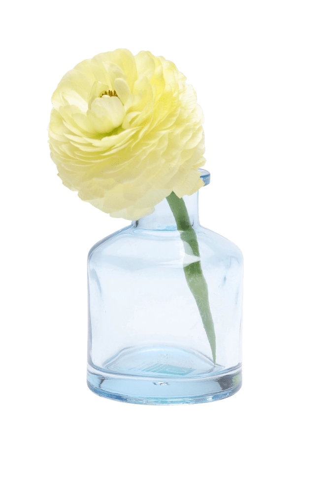 Chive Loft apothecary glass bud vase in light blue, shown from a side angle with a yellow ranunculus.