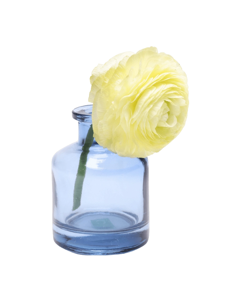 Chive Loft apothecary glass bud vase in medium blue styled with a pale yellow ranunculus bloom.