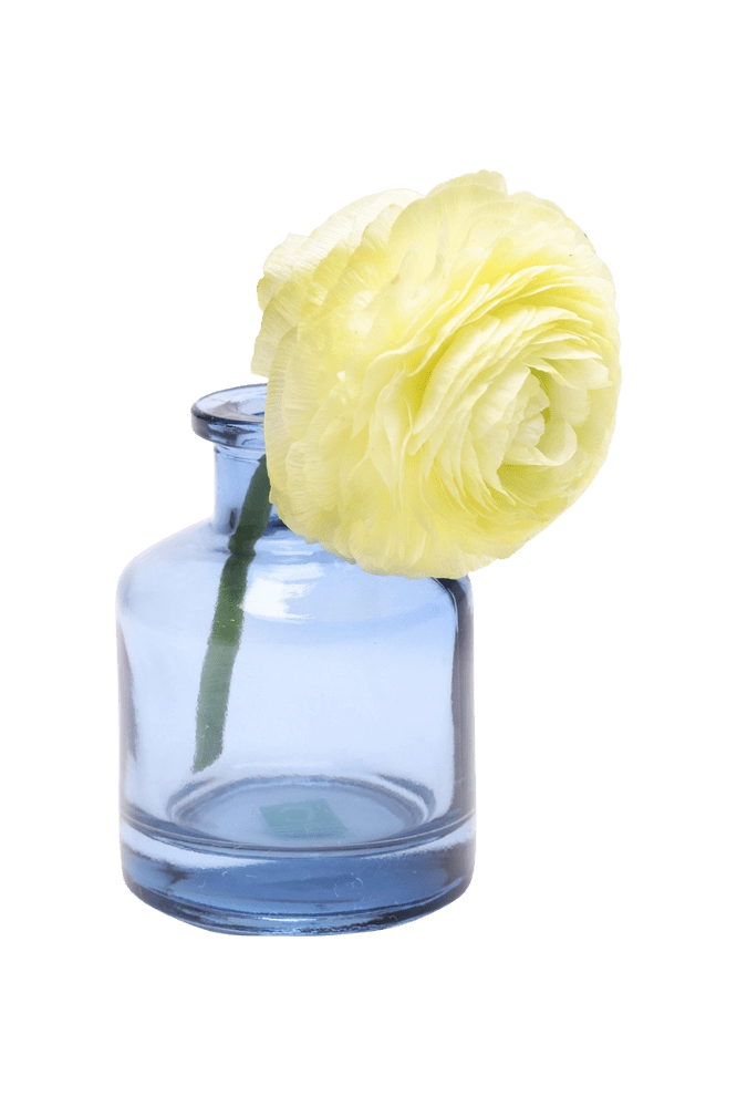 Chive Loft apothecary glass bud vase in medium blue styled with a pale yellow ranunculus bloom.