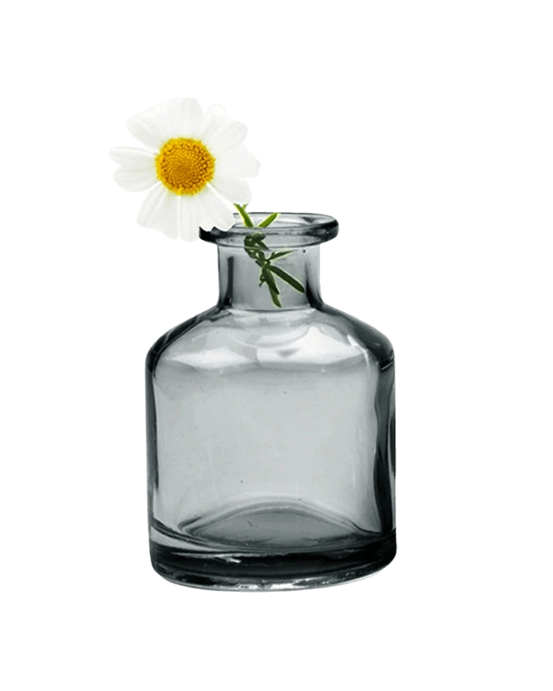 Chive Loft apothecary glass bud vase in smoke grey styled with a single white daisy bloom.