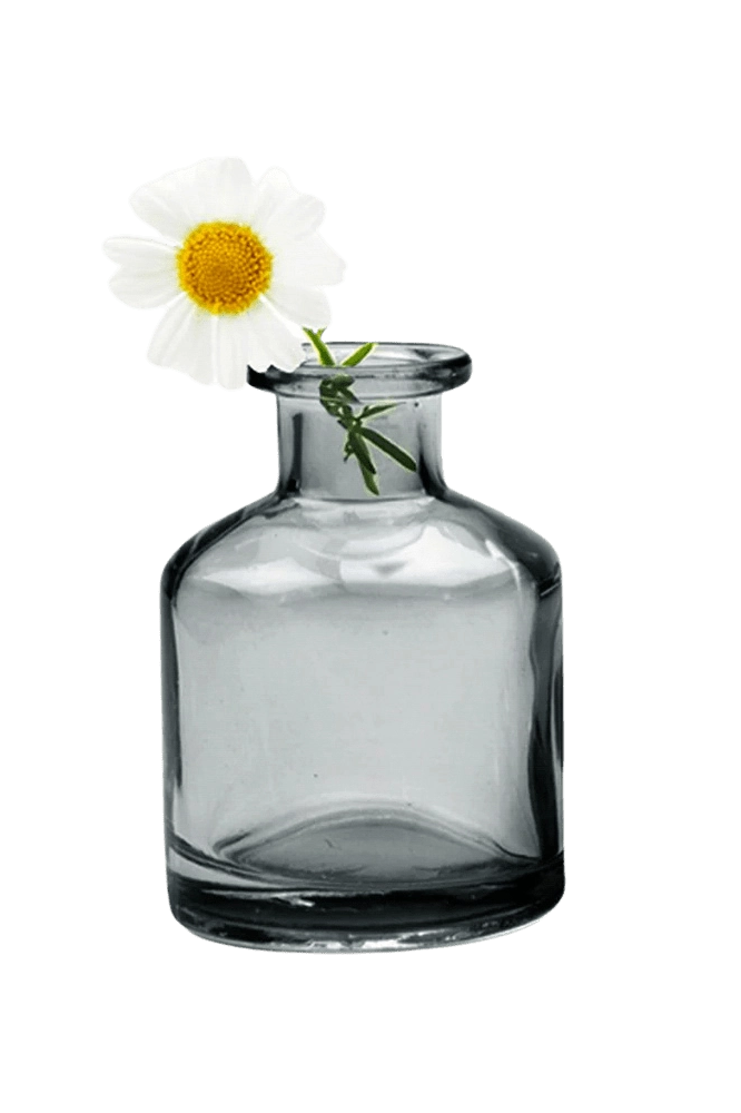 Chive Loft apothecary glass bud vase in smoke grey styled with a single white daisy bloom.