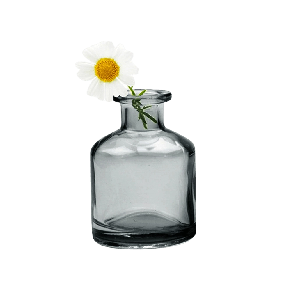 Chive Loft apothecary glass bud vase in smoke grey styled with a single white daisy bloom.