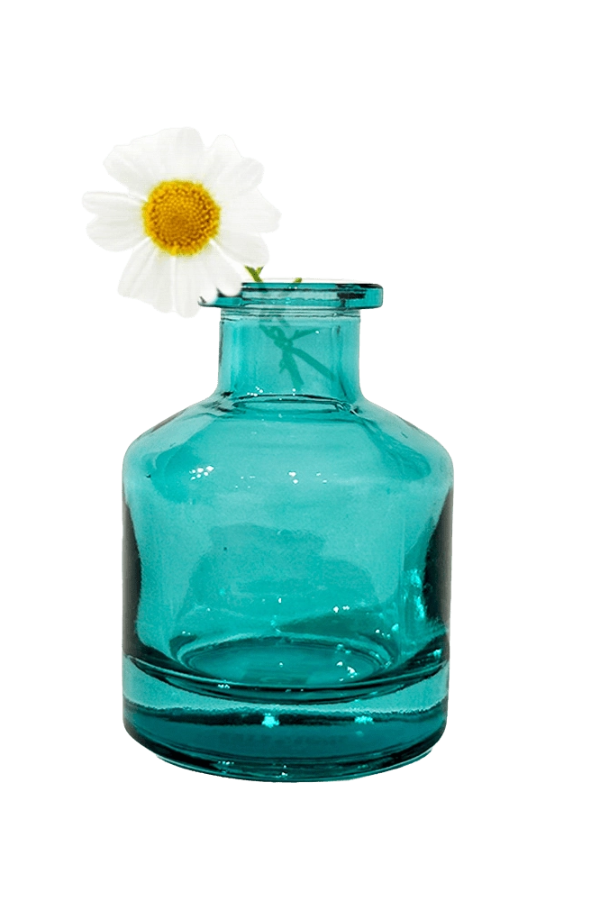 Chive Loft apothecary glass bud vase in teal styled with a single white daisy bloom.
