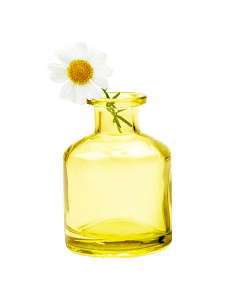 Chive Loft apothecary glass bud vase in yellow styled with a single white daisy bloom.