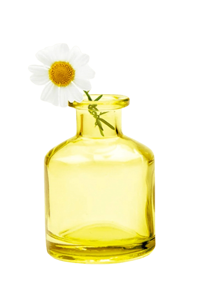 Chive Loft apothecary glass bud vase in yellow styled with a single white daisy bloom.
