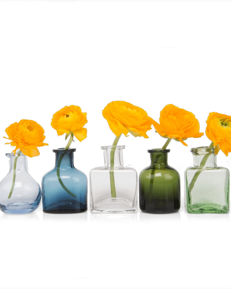Chive Loft glass bud vase set in assorted shapes and colors, each styled with an orange ranunculus bloom.